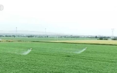 应对高温“烤”验手握“科技牌” 精细化服务“组合拳”保障百姓生产生活