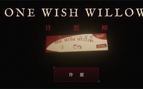 许愿柳模拟器长沙自己怎么开发app软件